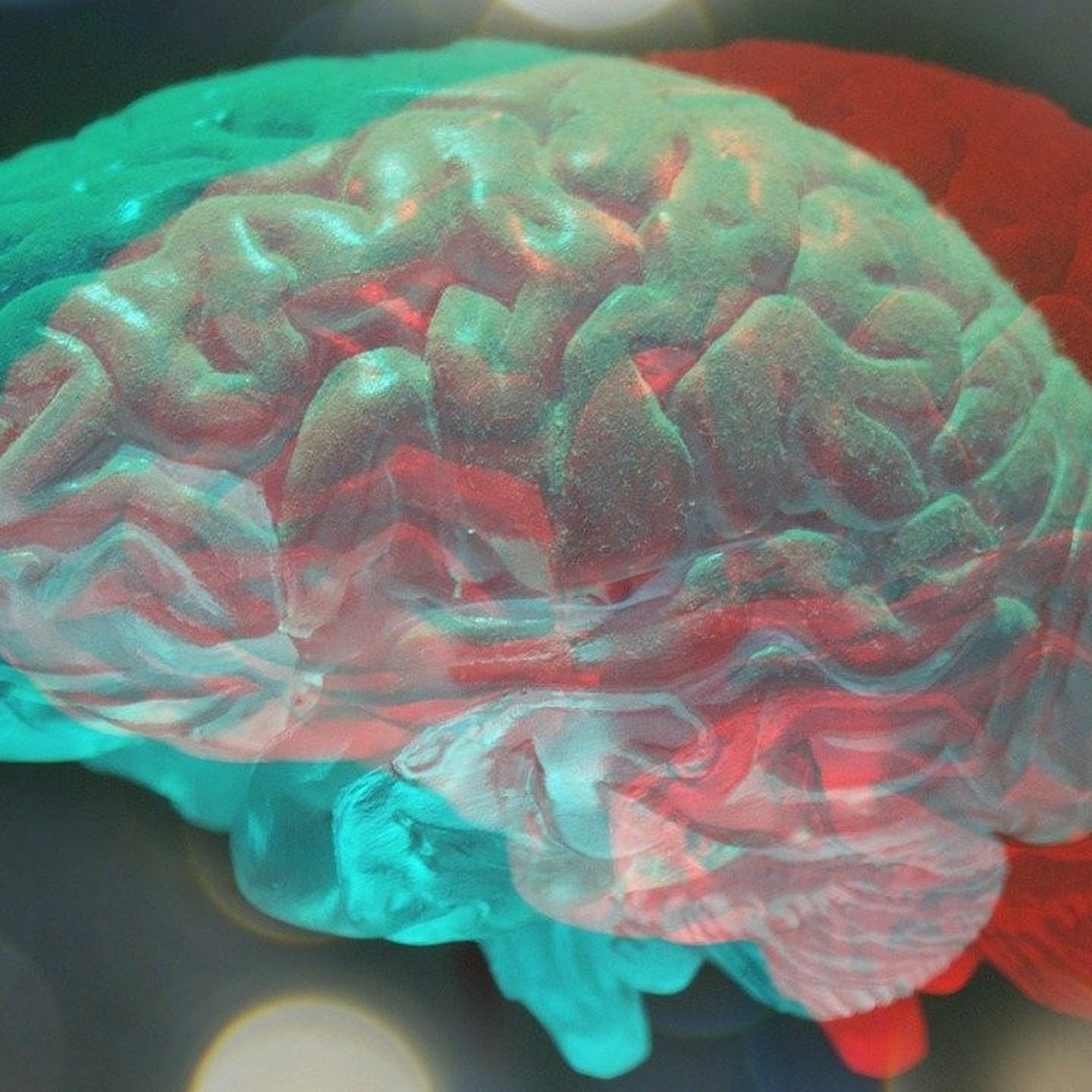 Evrim Ağacı ile Bilime Dair Her Şey!