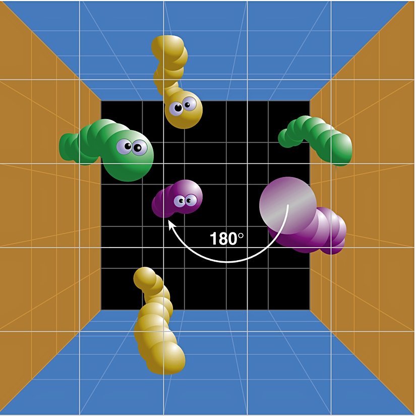 Yarım Bükümlü Küp Uzayı