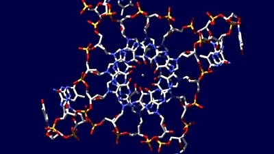 Dörtlü Sarmal (Heliks) DNA:  İnsan Genomunda Bulunan İlginç DNA Formu!