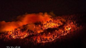 High Winds And Low Humidity Spark Grass Fires Across Surry County