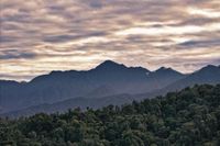 Where life has found its richest expression – Amazon Rainforest Day