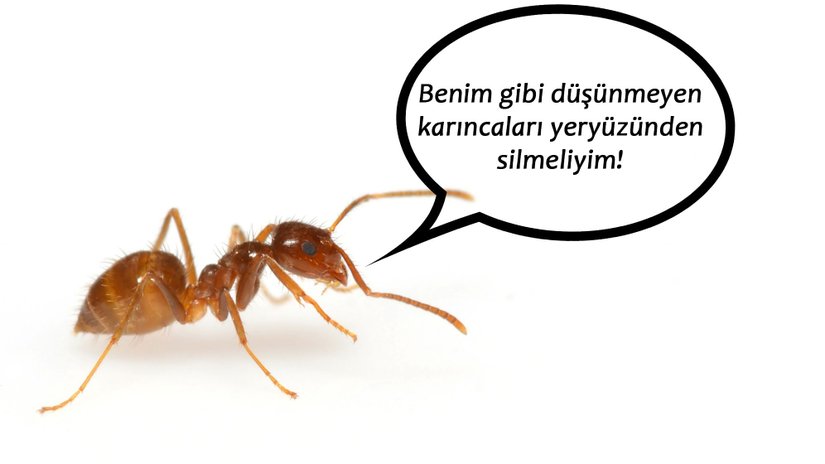 İnsanlar Olarak Gerçekten de Abarttığımız Kadar Zeki ve Gelişmiş Miyiz?