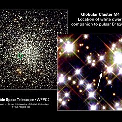 The Planet, the White Dwarf, and the Neutron Star