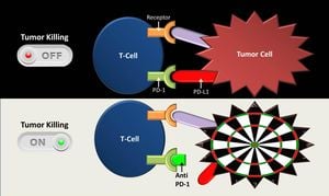 New Study Links SMARCAL1 Expression To Immune Response And Cancer Prognosis