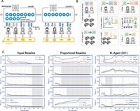Deep reinforcement learning can promote sustainable human behaviour in a common-pool resource problem - Nature Communications