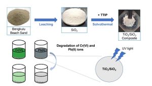 Innovative Use Of Silicon Nanoparticles Enhances Lentil Growth By Reducing Lead Toxicity