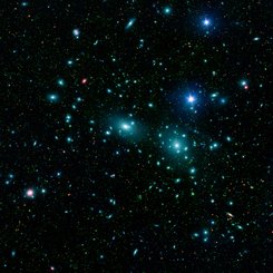 Dwarf Galaxies in the Coma Cluster