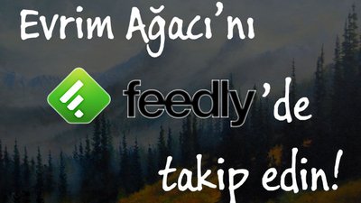Evrim Ağacı'nı Feedly'de Takip Edin!
