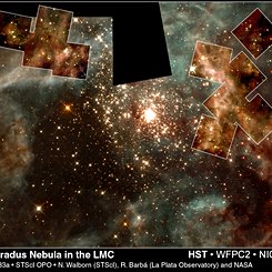 Massive Stars of 30 Doradus