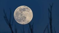 Vollmond im April – Liste zeigt, wann er zu sehen ist und alle weiteren Termine 2025
