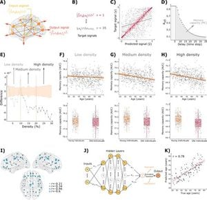 Computational Memory Capacity Reveals Insights Into Brain Aging