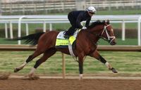 Analyzing the Kentucky Derby 2025 field: Favorites, contenders and long shots