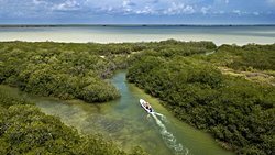 Araştırmacılar, Okyanusların Muhtemelen İklim Değişikliği Nedeniyle Renk Değiştirdiğini Buldu !