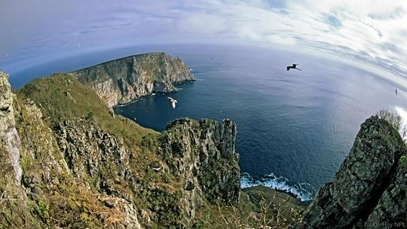Galapagos adaları, bir evrim fabrikası gibidir!