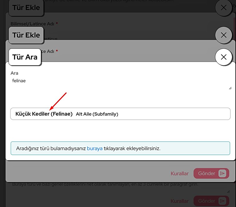 Üst Takson Seç'e tıkladıktan sonra, var olduğunu bildiğimiz taksonu seçiyoruz.