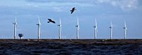 Advocates See Trump’s Move to Kill Wind as Legally Vulnerable