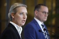 Verfassungsschutz: Gesamte AfD ist gesichert rechtsextremistisch