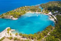 ACV raises $86,752 for Jamaica hurricane relief