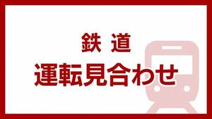 Train Services Disrupted In Tokyo Area Due To Inspections