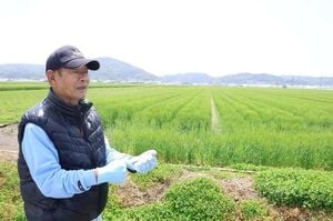 Japan To Publish Regional Rice Prices Amid High Costs