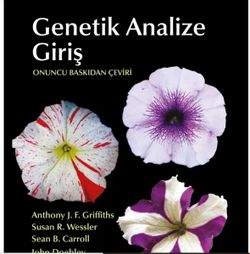 Genetik Analize Giriş kitabı iyi bir kitap mı?