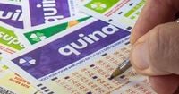 Quina 6725 tem resultados revelados; confira | GZH