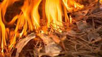 Teens questioned over fire that trapped deputies at Table Rock State Park