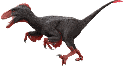 Deve Kuşu, Emu, Cassowary, Terror Raptor(soyu tükendi) ve Moa Kuşu gibi kuşların ataları uçabilen dinozorlar mıydı?