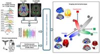 Machine learning reveals distinct neuroanatomical signatures of cardiovascular and metabolic diseases in cognitively unimpaired individuals - Nature Communications