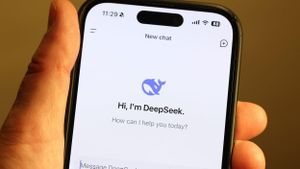 DeepSeek: Weighing Features Against Privacy Concerns