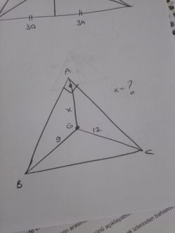 G ağırlık merkezi ise x kaçtır?