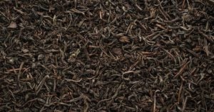 Tea Leaves Found To Filter Lead From Water