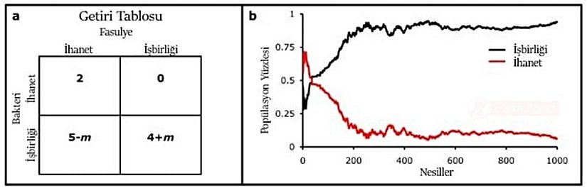 Şekil 3: Ödül ve Ceza - Getiri matrislerinde işbirliği ödüllendirilirken, ihanet cezalandırılabilir (a). Diğer organizmalar işbirliği yaparken ihanet eden taraf bir kusur seçecektir. Bir organizmanın ihanet etmesi halinde ise fayda, ihanet etmenin cezası olarak bir sonraki turda değiştirici değer (m) tarafından azaltılacaktır. Buna alternatif olarak (m) iş birliği için bir ödüldür. Her iki organizmanın da dürüst alış veriş yapması ile meydana gelen getirilerdeki değişimler işbirliğinin hızlı evrimi ile sonuçlanır. Kaynak:  2012 Nature Education All rights reserved.