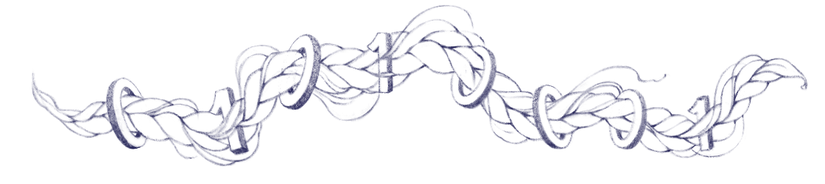 Xiao-Gang Wen: "Her parçacık nicelenmiş bir dalgadır. Dalga, kübit okyanusunun bir deformasyonudur."