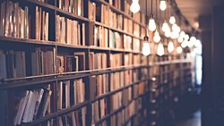 Dünyaya Yön Veren En Etkin İlk 10 Kişi