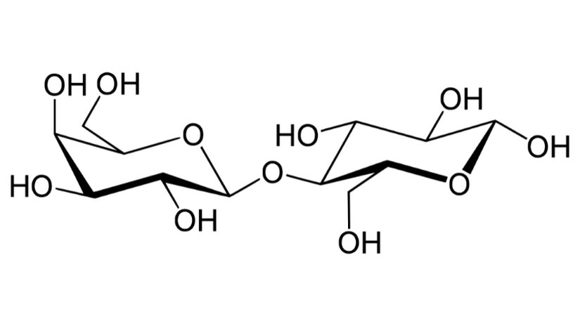 Şekil 7. Laktoz (süt şekeri)