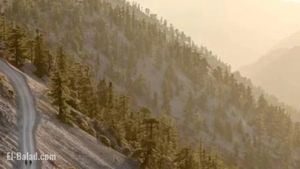 TJ Maxx To Close Boston Store Amid Retail Shakeup