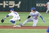 大谷翔平、自らのインスタに”デコピンスパイク”の詳細を公開　２か所に描かれた愛犬にフォロワー「あっちこっちにデコちゃんが」：中日スポーツ・東京中日スポーツ