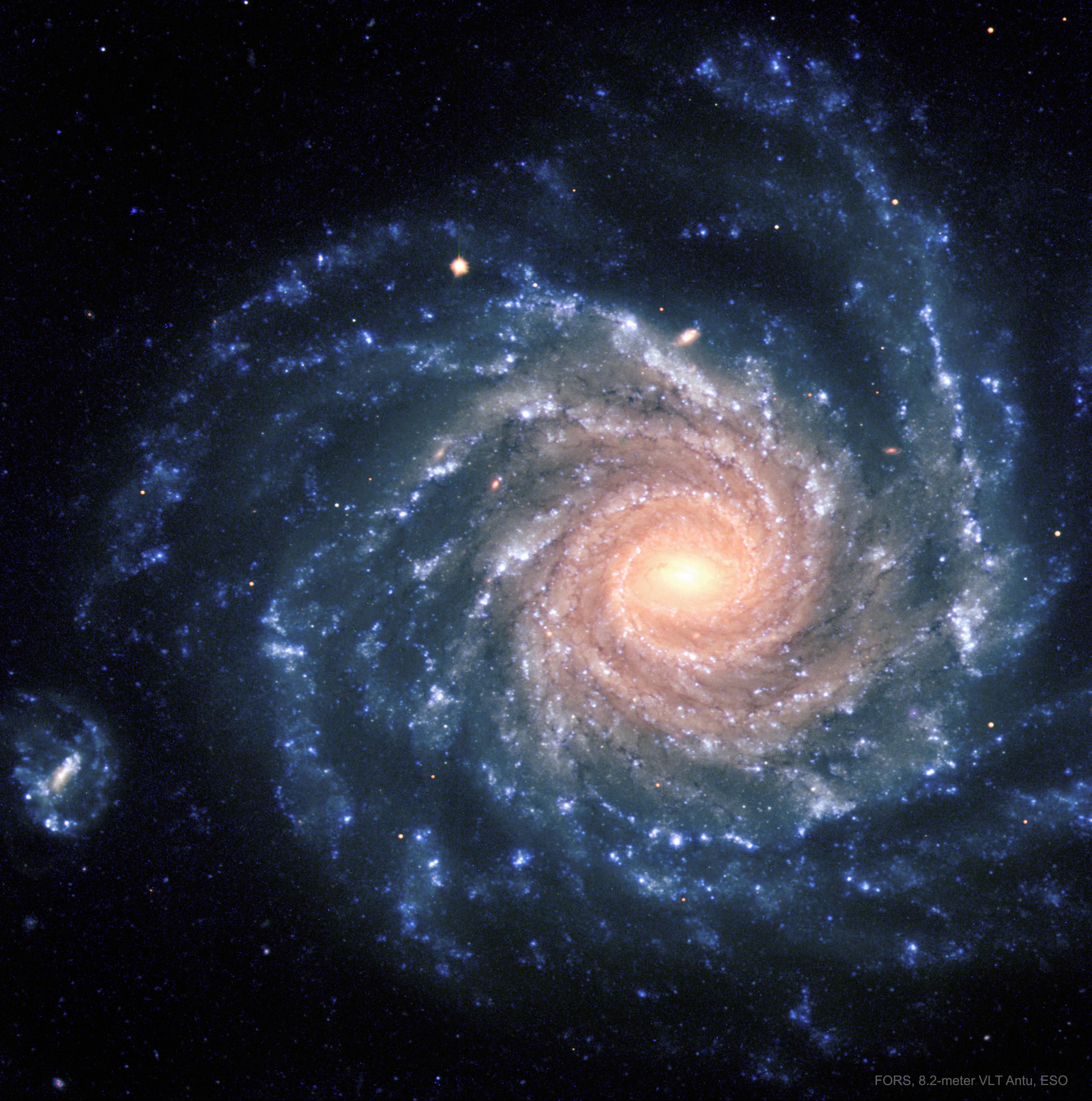  Grand Spiral Galaxy NGC 1232 