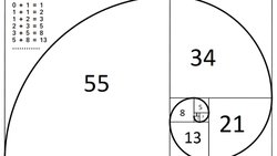 Fibonacci Sayıları Nedir?
