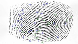 Filmlerde Gördüğümüz Parmak İzi Tarama Sistemi ve İşin Aslı: AFIS Nedir?