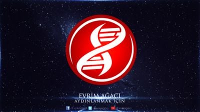 Evrim Ağacı'nın Yeni Logosu ve Yarışmamızın Kazananları Belli Oldu!