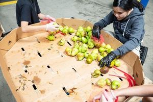 Millions Face SNAP Cuts As States Rush To Meet New Rules