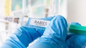 Rabid Fox Attacks Atmore Residents Prompting Health Alert