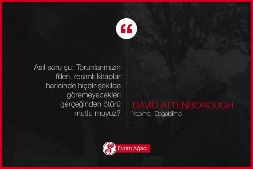 Doğa sevgisi ve duyarlılığı ile bilinen David Attenborough, sık sık insanları düşündürecek sözler söylüyor.