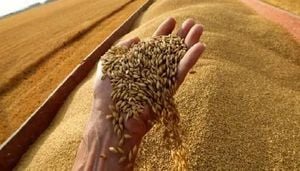 Russia Suspends Wheat Exports To Morocco Over Safety Concerns