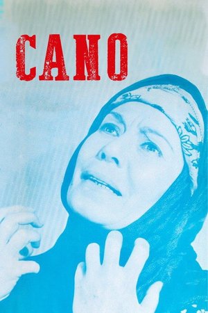 Cano