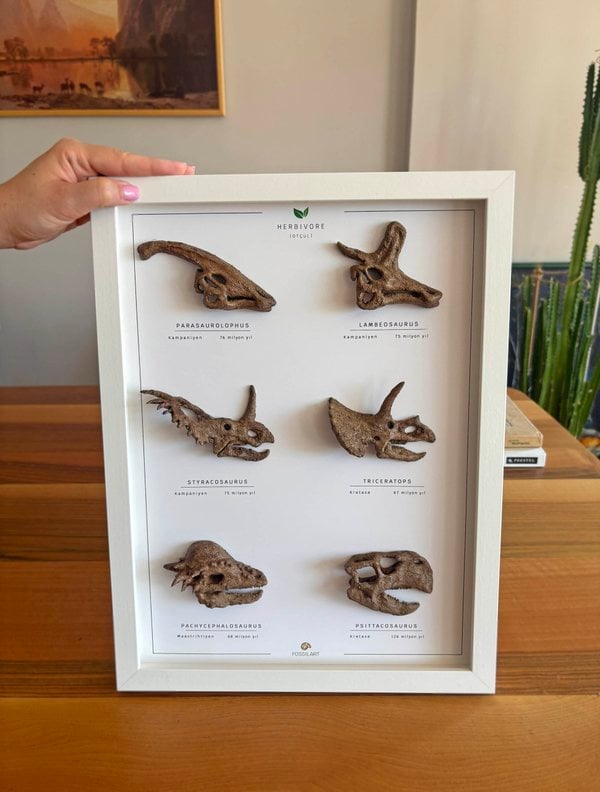 Otobur Dinozorlar 3 Boyutlu Çerçeve Tasarım