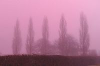 Rare pink fog descends on the UK as Met Office issues weather warnings across the country