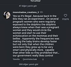 Yunusların çıkardığı seslerin beyin felcine ya da doğum sancılarına pozitif etkisi olabilir mi?